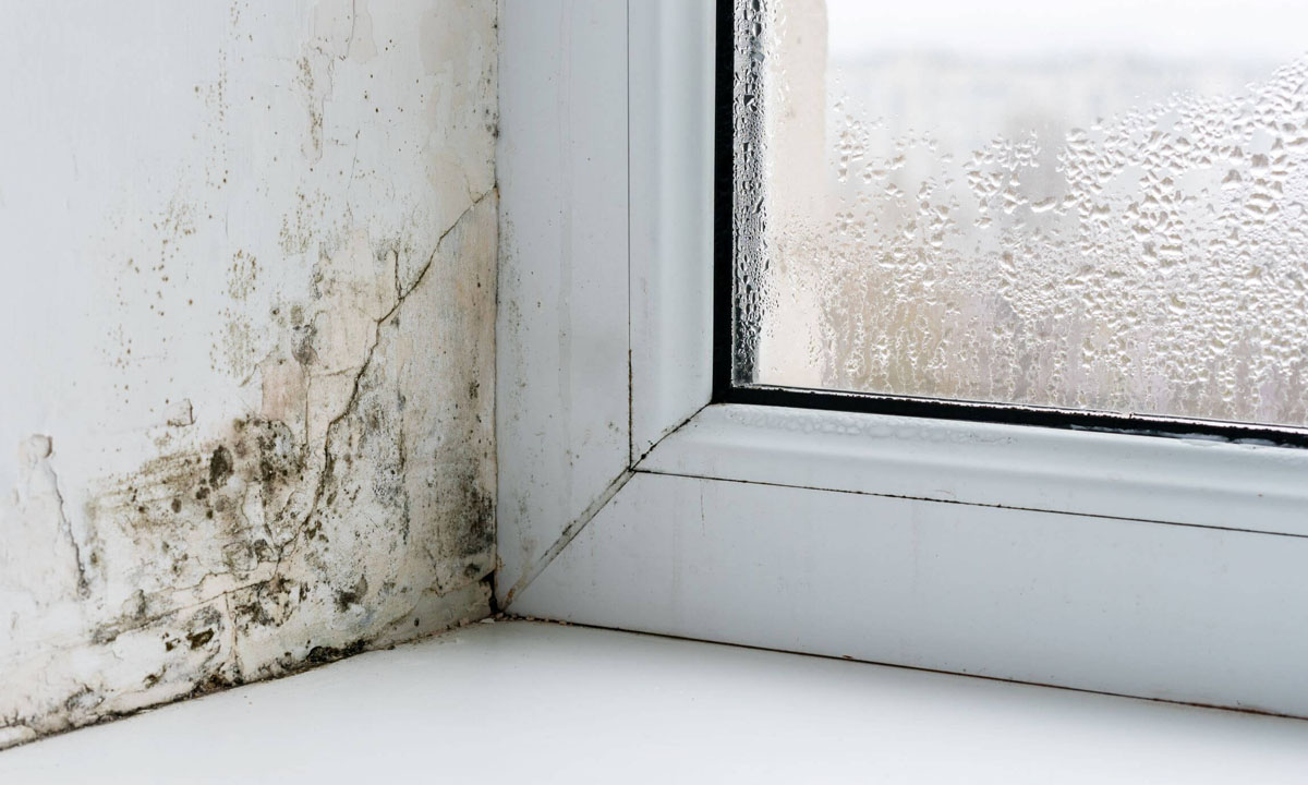 top-tips-for-preventing-damp